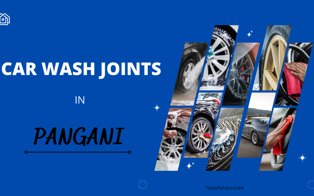 Car Wash Joints in Pangani