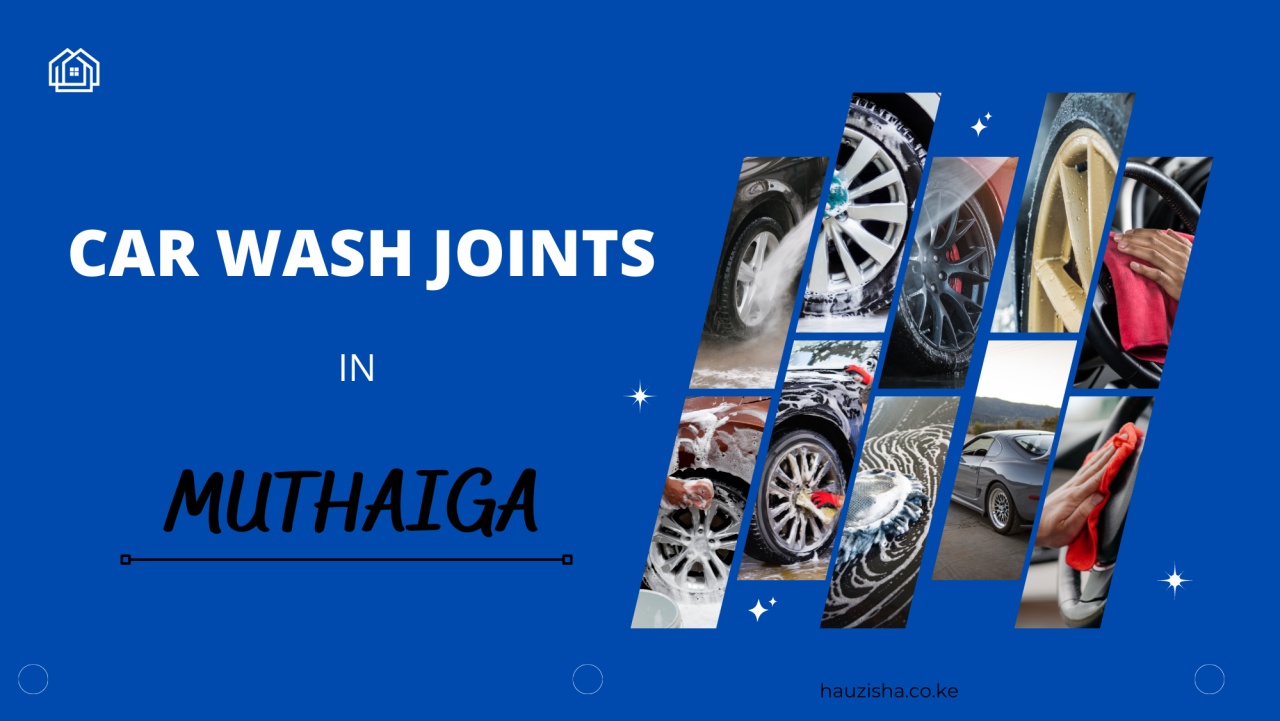Car Wash Joints in Muthaiga Hauzisha