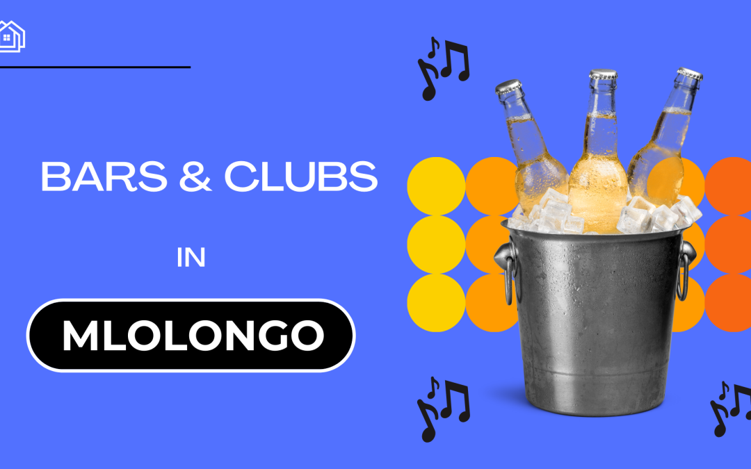 Popular Bars and Clubs in Mlolongo